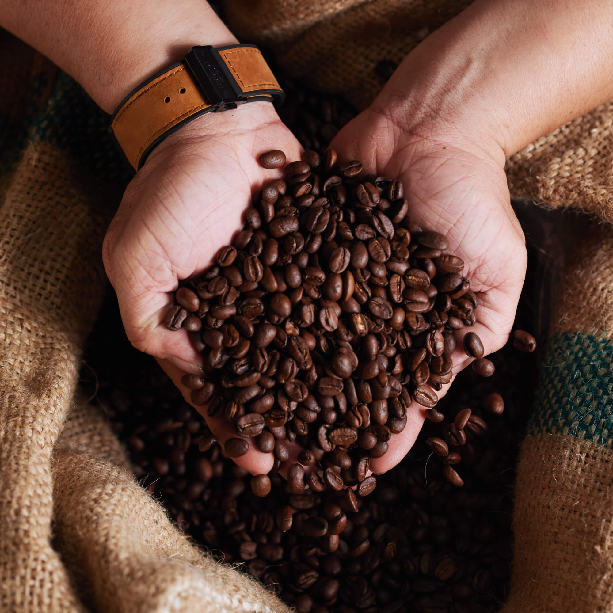 Savor the Flavors of Kenya with Nairobi Harvest